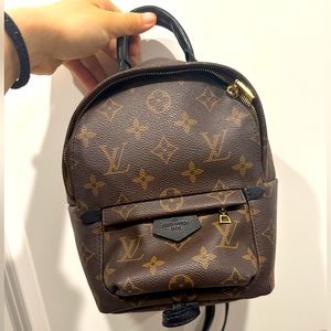 Louis Vuitton Palm Springs Mini backpack
